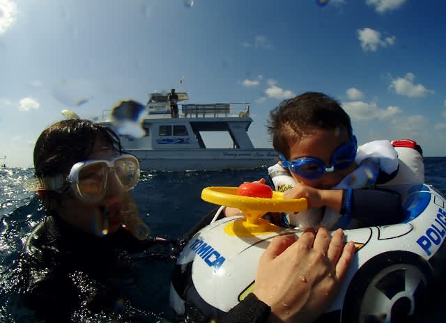 P9170008_640x464 P9170008_640x464