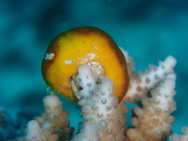 P9287758_640x480 P9287758_640x480