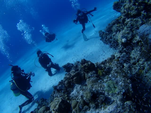 P9160004_640x480 P9160004_640x480