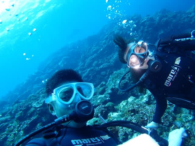 P7193048_640x480 P7193048_640x480