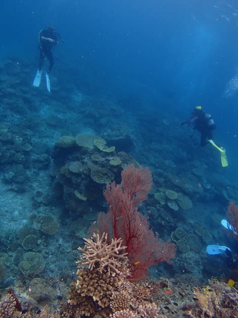 P9270050_480x640 P9270050_480x640