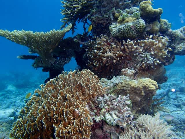 P4200014_640x480 P4200014_640x480