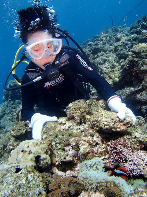 P9250033_480x640 P9250033_480x640