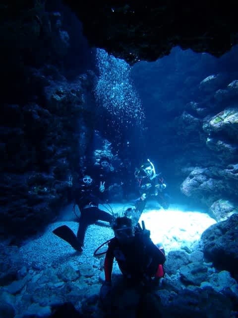 P9060034_480x640_480x640 P9060034_480x640_480x640