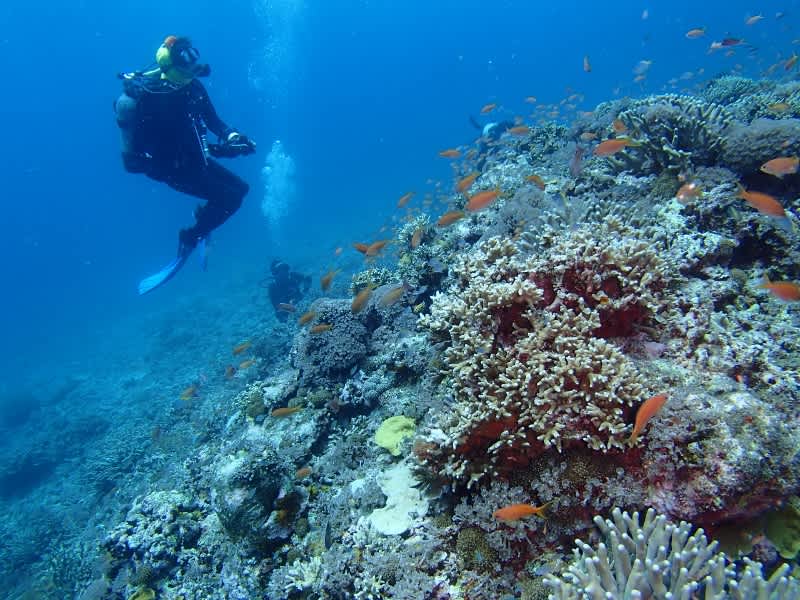 P6240047_800x600 P6240047_800x600