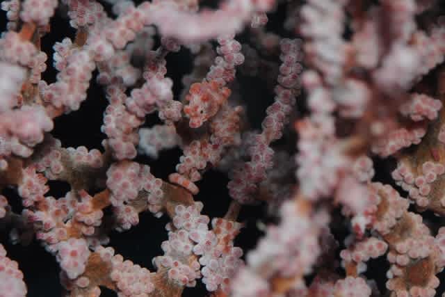 Dsc_2899_640x427 Dsc_2899_640x427