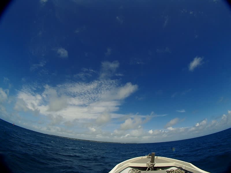 P6221952_800x600 P6221952_800x600