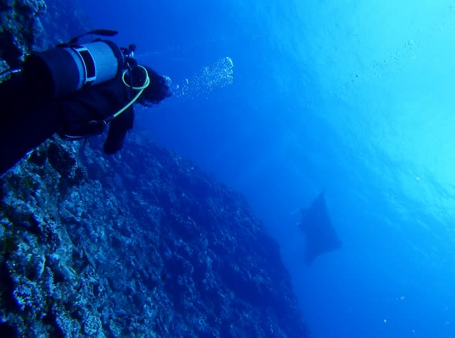 P8135197_640x475 P8135197_640x475