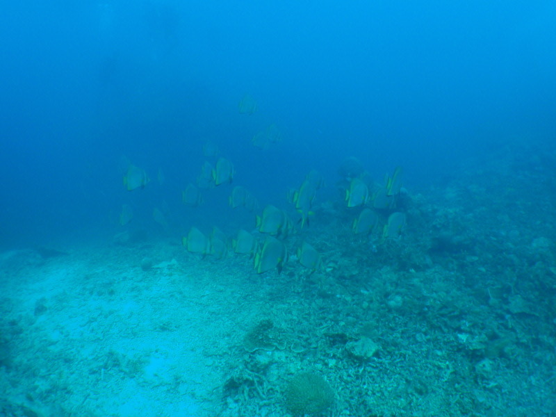 P3280020 P3280020