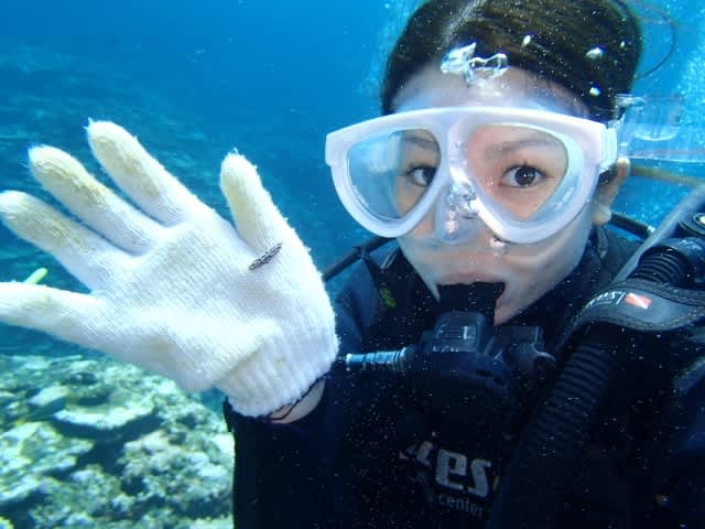 P7162921_640x480 P7162921_640x480