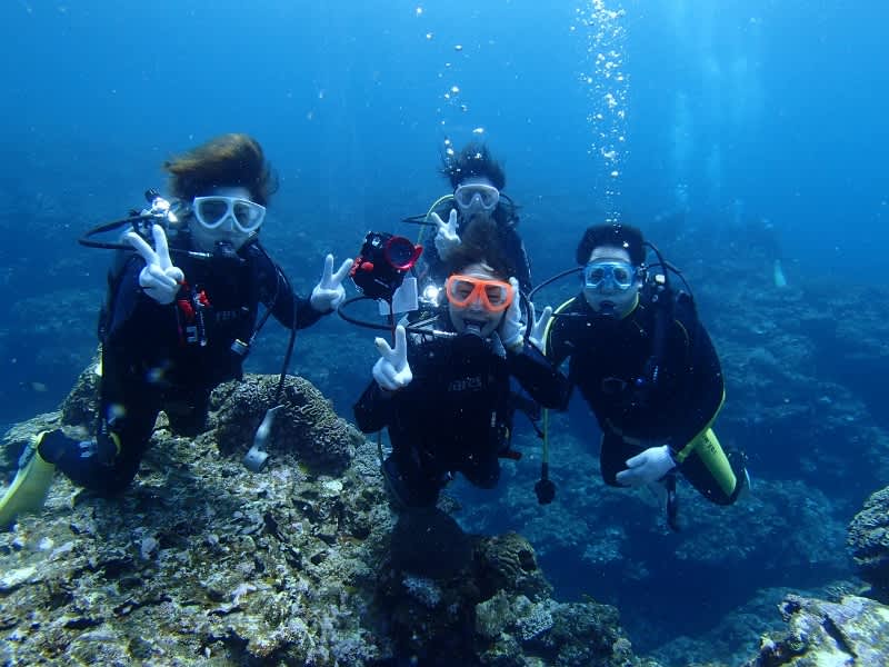 P6230036_800x600 P6230036_800x600