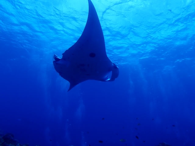 P9220023_640x480 P9220023_640x480