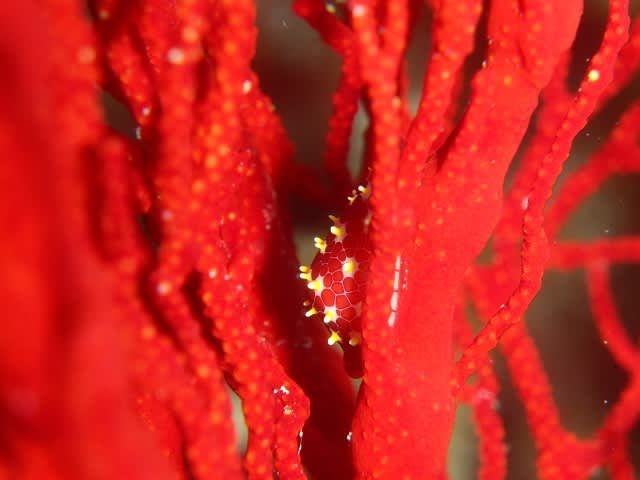 P9220016_640x480_2 P9220016_640x480_2