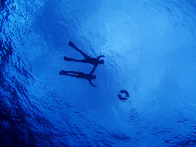 P9250003_640x480 P9250003_640x480