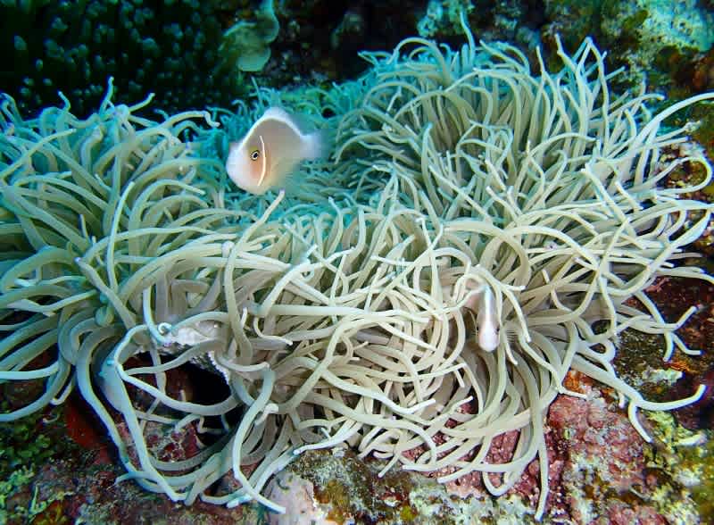 P6260202_800x588 P6260202_800x588