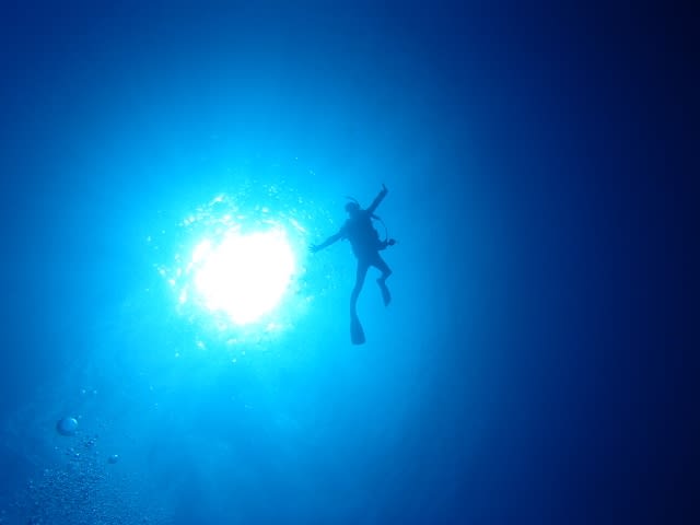 P9220073_640x480 P9220073_640x480