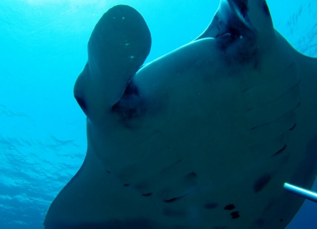 P3230042_640x463 P3230042_640x463