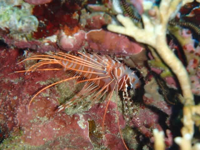 P9230037_640x480 P9230037_640x480