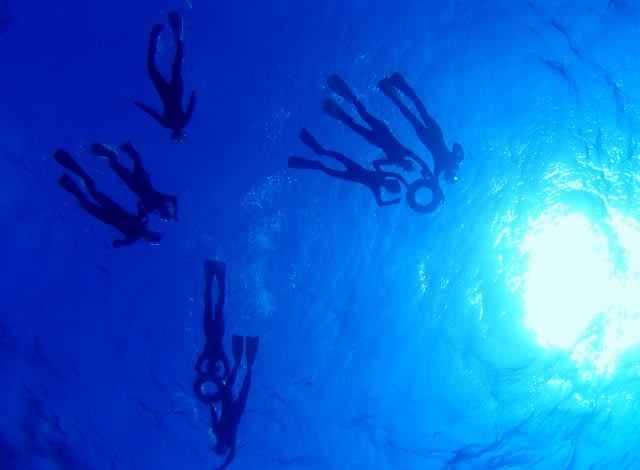 Pa188387_640x470 Pa188387_640x470