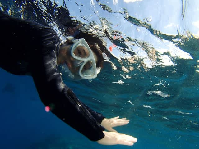 P7223468_640x480 P7223468_640x480