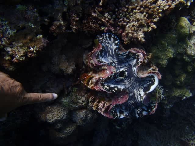 P6292252_640x480 P6292252_640x480