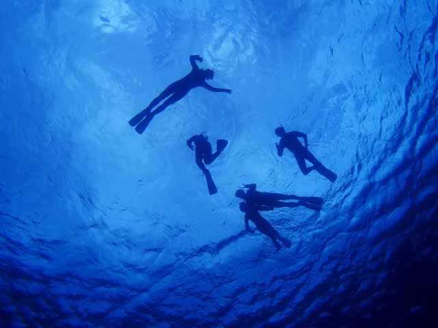 Pa160002_640x480 Pa160002_640x480