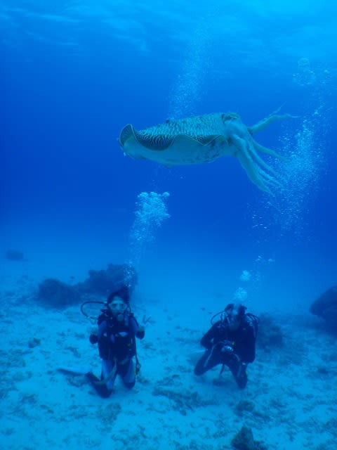 P4250020_3 P4250020_3