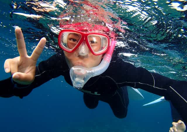 P8195676_640x450 P8195676_640x450