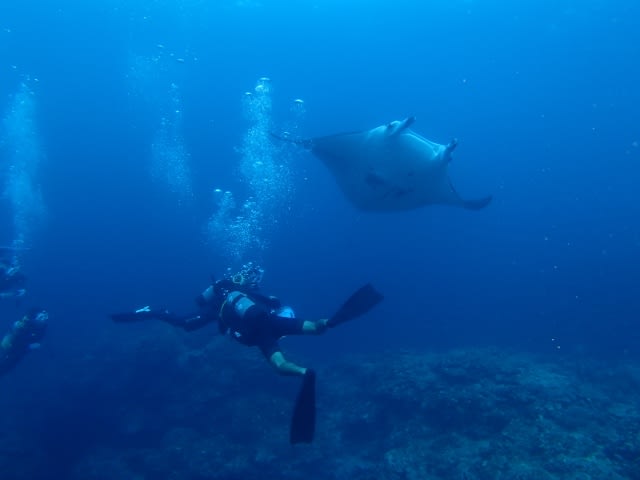 P7160048_640x480 P7160048_640x480