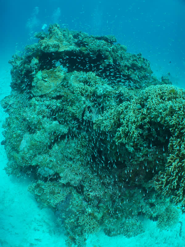 P9240041_2 P9240041_2