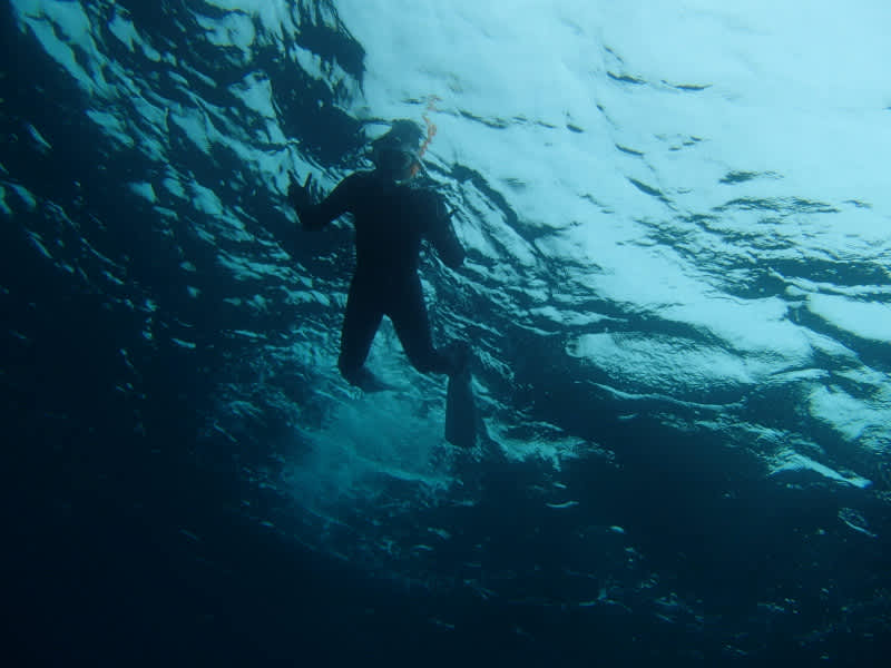 P3210009_2 P3210009_2