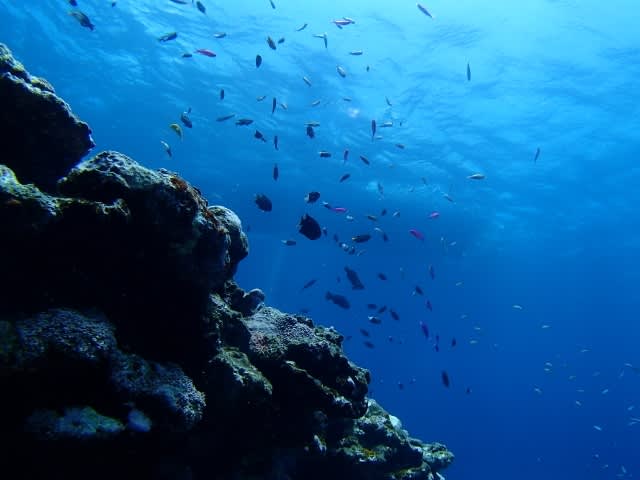 P6292265_640x480 P6292265_640x480