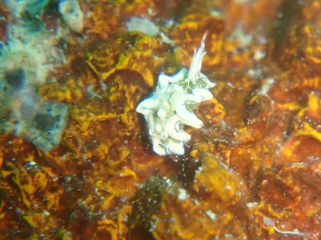 P9050021_640x480 P9050021_640x480