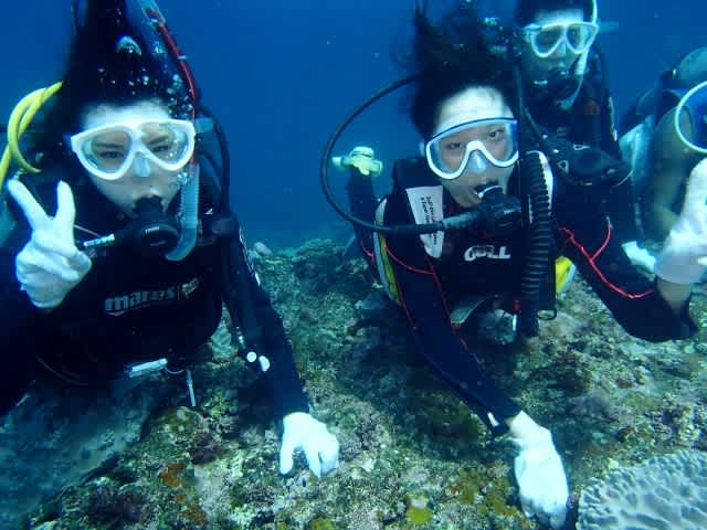 P9280001_640x480 P9280001_640x480