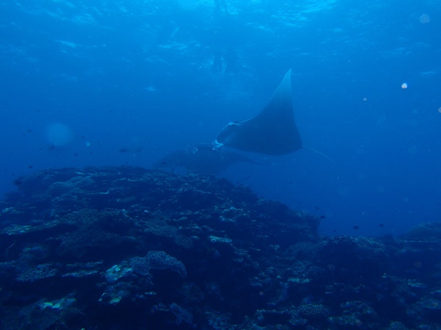 P4280003_2 P4280003_2