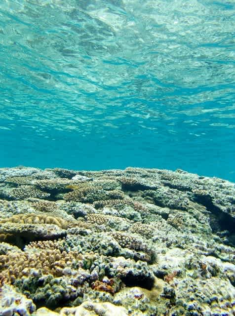 P4240149_476x640 P4240149_476x640