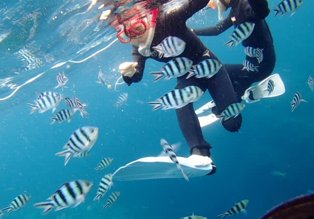 P7170062_640x446 P7170062_640x446