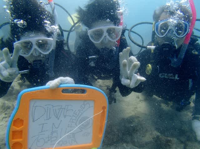 Pa088164_640x476 Pa088164_640x476