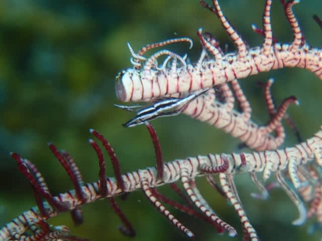 P9307854_640x480 P9307854_640x480