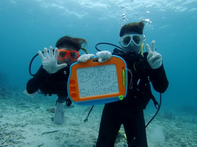 P4270023_640x477 P4270023_640x477