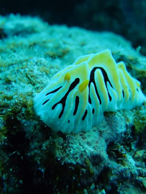 P4030039_480x640 P4030039_480x640