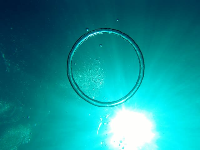 P9136932_640x478 P9136932_640x478