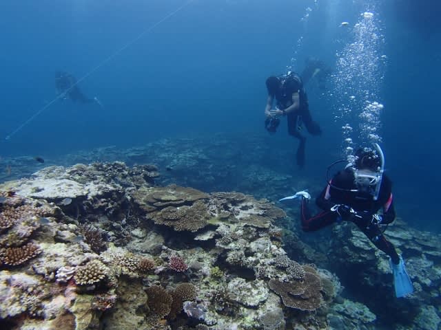 P8150009_640x480 P8150009_640x480