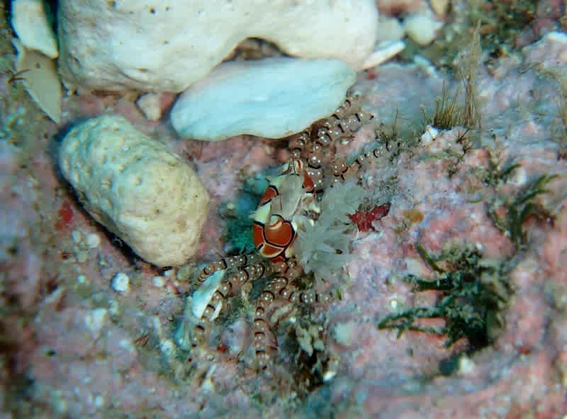 P6220035_800x592 P6220035_800x592