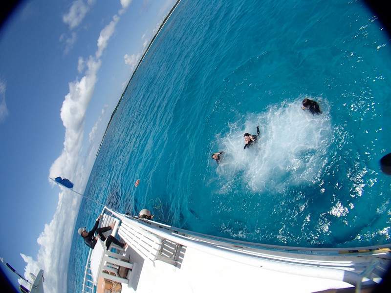 P5310074_1024x768 P5310074_1024x768