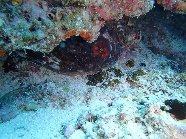 P4080016_2 P4080016_2