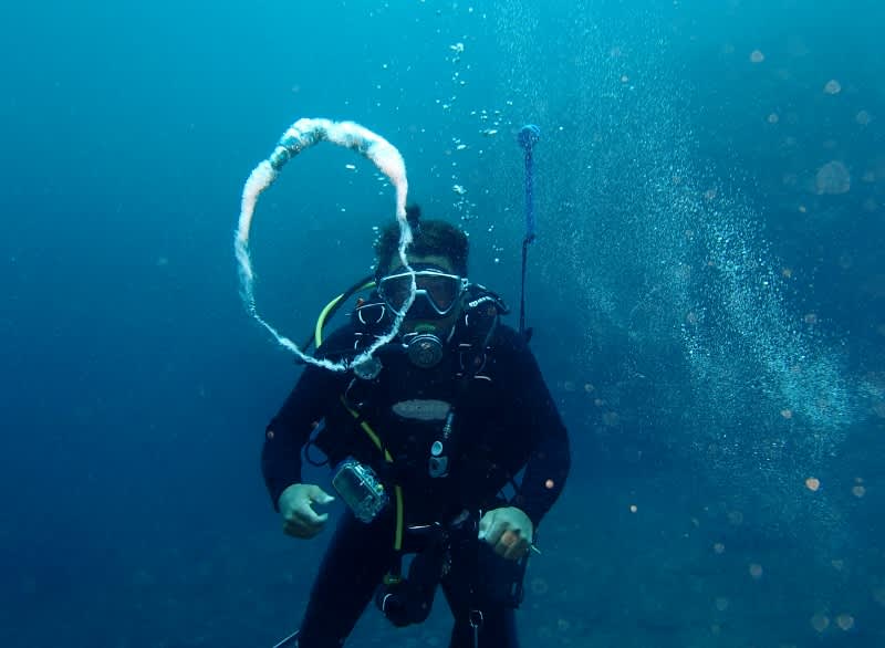 P6260213_800x586 P6260213_800x586