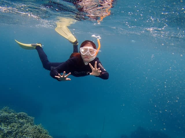 P7190032_640x480 P7190032_640x480