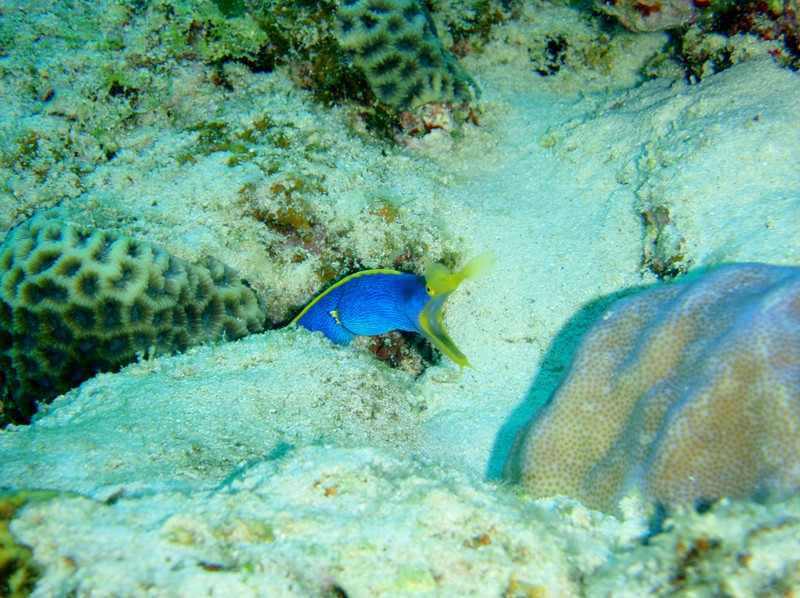 P4010002_3 P4010002_3