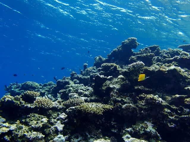 P5251145_640x479 P5251145_640x479